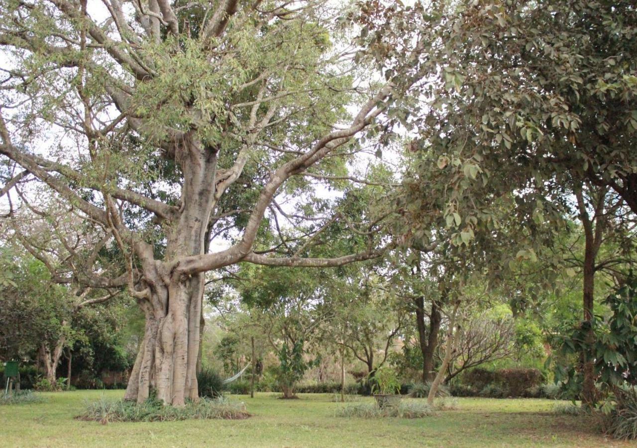 Barefoot Lodge And Safaris - Malawi Lilongwe Eksteriør bilde